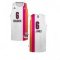 /products/miami-heat-floridian-lebron-james/